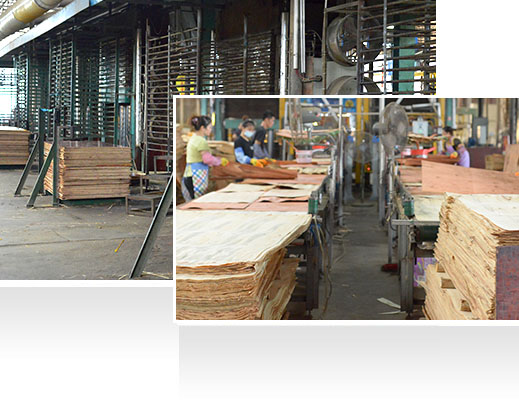 —30年耕耘，實力深厚